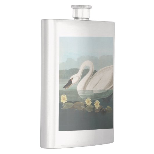 zwanenvogel witwaterzwanen flacon (Rechts)