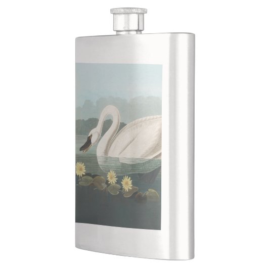 zwanenvogel witwaterzwanen flacon (Links)