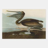 zwanenvogel witwaterzwanen inpakpapier vel (Voorkant 2)