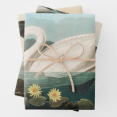 zwanenvogel witwaterzwanen inpakpapier vel (In situ)