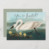 zwanenvogel witwaterzwanen kaart (Voorkant / Achterkant)