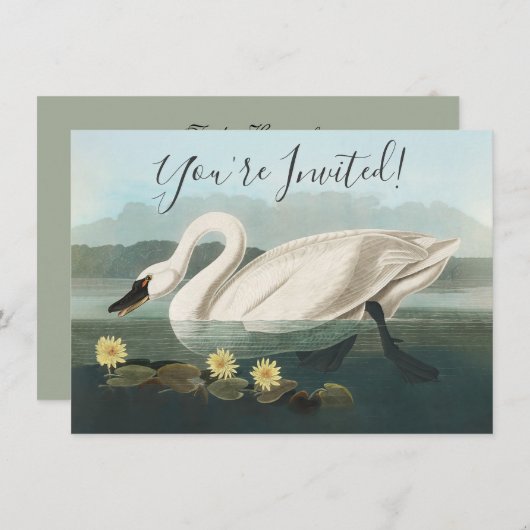 zwanenvogel witwaterzwanen kaart (Voorkant / Achterkant)