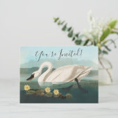 zwanenvogel witwaterzwanen kaart (Staand voorkant)