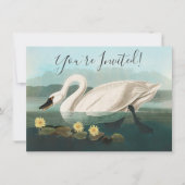 zwanenvogel witwaterzwanen kaart (Voorkant)