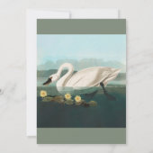 zwanenvogel witwaterzwanen kaart (Achterkant)