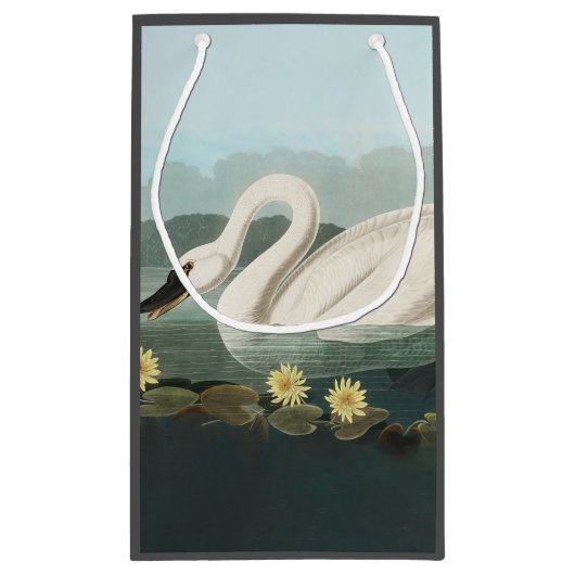 zwanenvogel witwaterzwanen klein cadeauzakje (Achterkant)