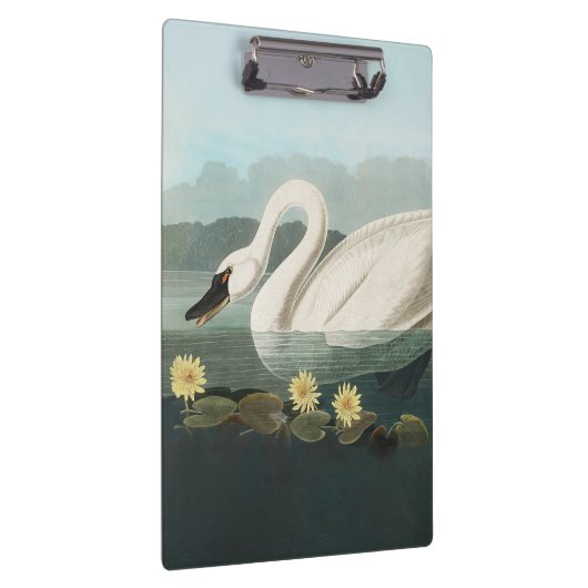 zwanenvogel witwaterzwanen klembord (Rechts)