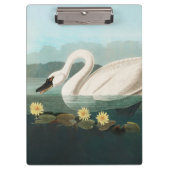 zwanenvogel witwaterzwanen klembord (Voorkant)