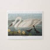 zwanenvogel witwaterzwanen legpuzzel (Horizontaal)