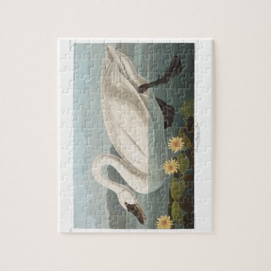 zwanenvogel witwaterzwanen legpuzzel (Verticaal)