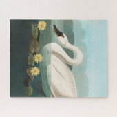 zwanenvogel witwaterzwanen legpuzzel (Horizontaal)