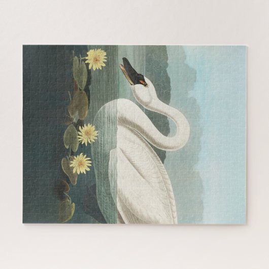 zwanenvogel witwaterzwanen legpuzzel (Horizontaal)