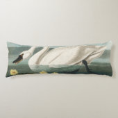 zwanenvogel witwaterzwanen lichaamskussen (Voorkant)