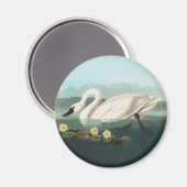 zwanenvogel witwaterzwanen magneet (Voorkant / Achterkant)