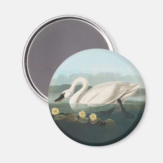 zwanenvogel witwaterzwanen magneet (Voorkant / Achterkant)