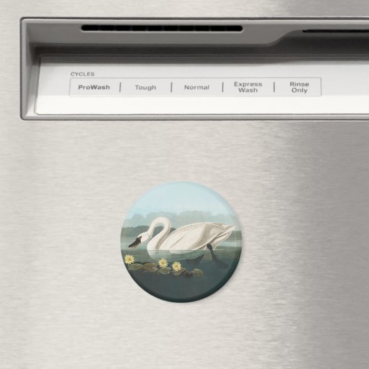 zwanenvogel witwaterzwanen magneet (Insitu (Vaatwasser))