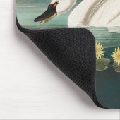 zwanenvogel witwaterzwanen muismat (Hoek)