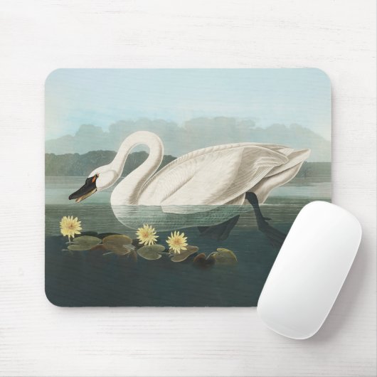 zwanenvogel witwaterzwanen muismat (Met muis)