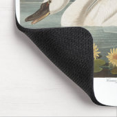 zwanenvogel witwaterzwanen muismat (Hoek)