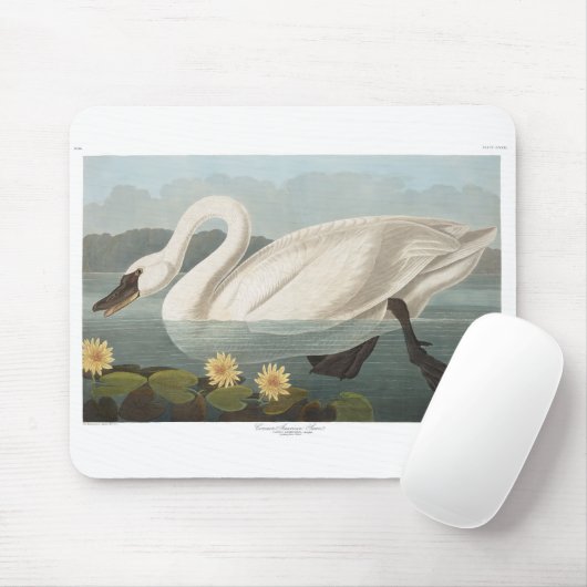 zwanenvogel witwaterzwanen muismat (Met muis)