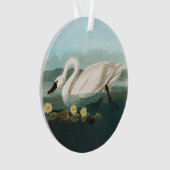 zwanenvogel witwaterzwanen ornament (voorkant)