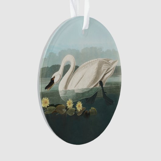 zwanenvogel witwaterzwanen ornament (voorkant)