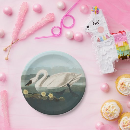 zwanenvogel witwaterzwanen papieren bordje (Feest)