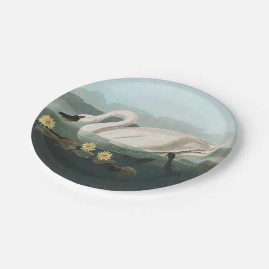 zwanenvogel witwaterzwanen papieren bordje (Gekanteld)
