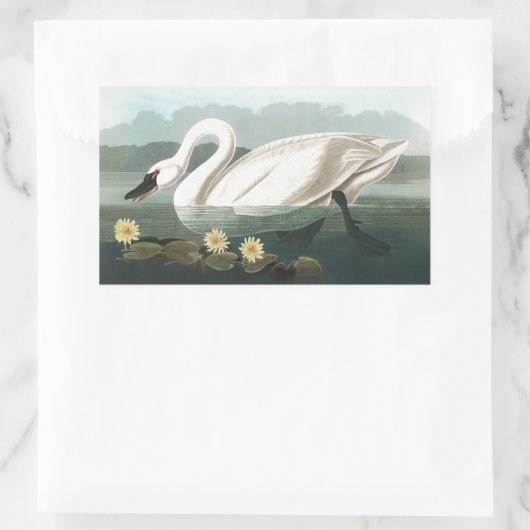 zwanenvogel witwaterzwanen rechthoekige sticker (Tas)