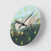 zwanenvogel witwaterzwanen ronde klok (Hoek)