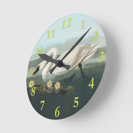 zwanenvogel witwaterzwanen ronde klok (Hoek)