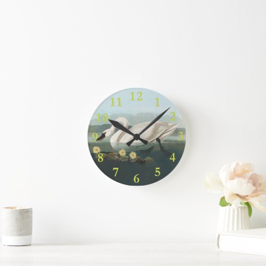 zwanenvogel witwaterzwanen ronde klok (Huis)