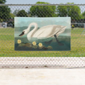 zwanenvogel witwaterzwanen spandoek (Insitu)