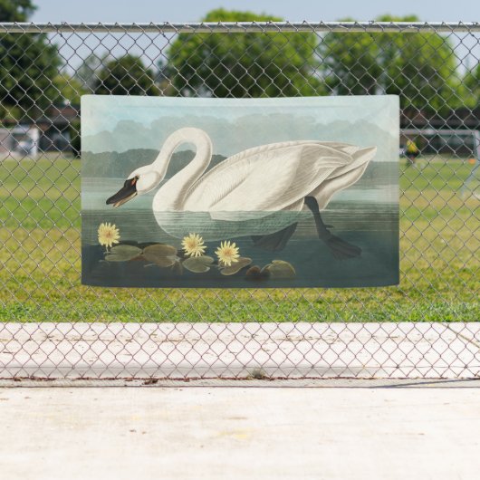 zwanenvogel witwaterzwanen spandoek (Insitu)