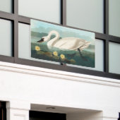 zwanenvogel witwaterzwanen spandoek (Buitenkant Gebouw)