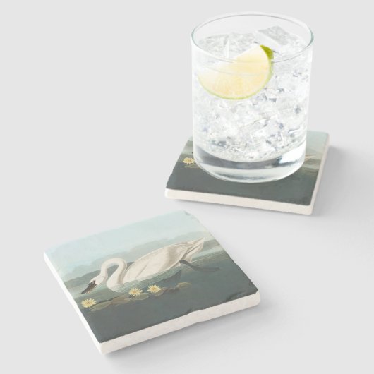 zwanenvogel witwaterzwanen stenen onderzetter (Zijkant)