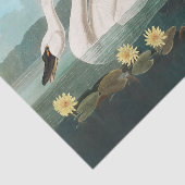 zwanenvogel witwaterzwanen tissuepapier (Detail)