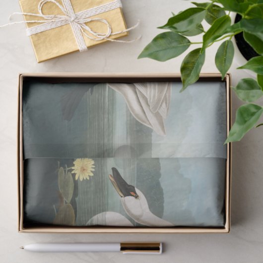 zwanenvogel witwaterzwanen tissuepapier (Geschenk)