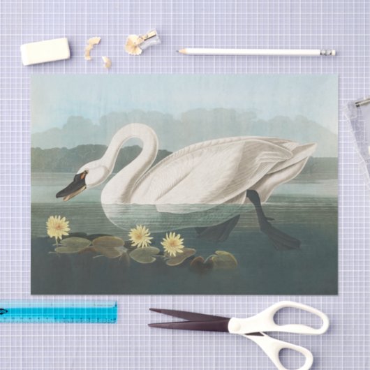 zwanenvogel witwaterzwanen tissuepapier (Craft)