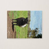 Zwanger Vrouw Belted Galloway Koe, Legpuzzel (Horizontaal)