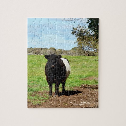 Zwanger Vrouw Belted Galloway Koe, Legpuzzel (Verticaal)