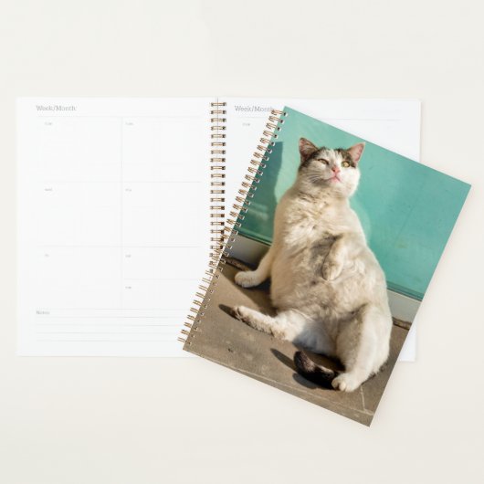 Zwangere kat  planner (Display)