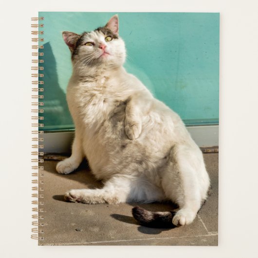 Zwangere kat planner (Voorkant)