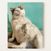 Zwangere kat planner (Achterkant)
