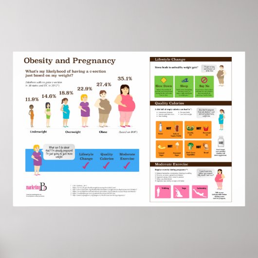 Zwangerschap 36 x 24-inch infografisch Poster (Voorkant)