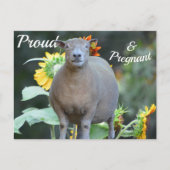 Zwangerschap Aankondiging Kaart Quaint (Voorkant)