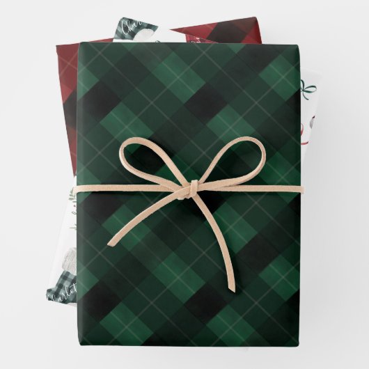 Zwangerschap Aankondiging Waterverf Gezinsinventar Inpakpapier Vel (In situ)