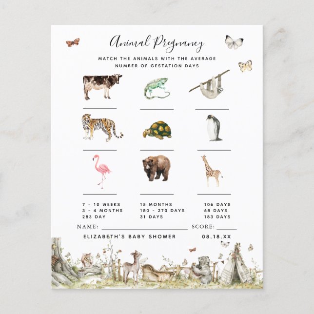 Zwangerschap bij dieren | BABY SHOWER (Voorkant)