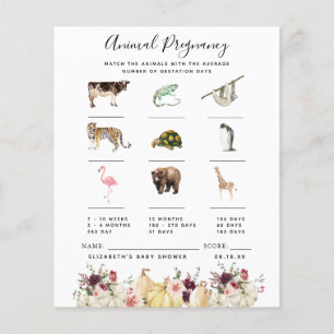 Zwangerschap bij dieren BABY SHOWER