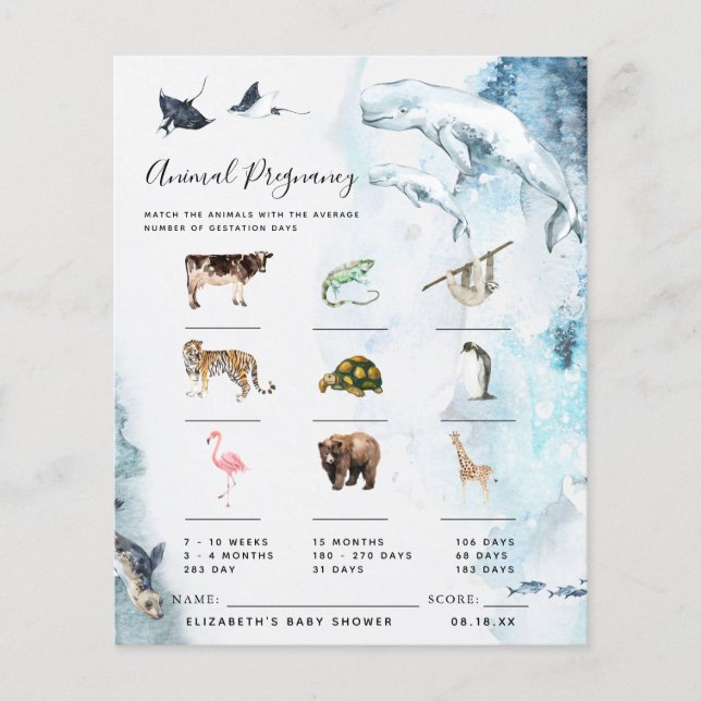 Zwangerschap bij dieren | BABY SHOWER (Voorkant)